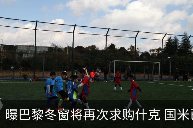 曝巴黎冬窗将再次求购什克 国米已在寻找替代者